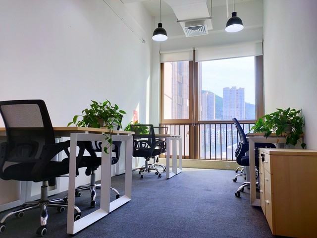 金山区买房落户咨询